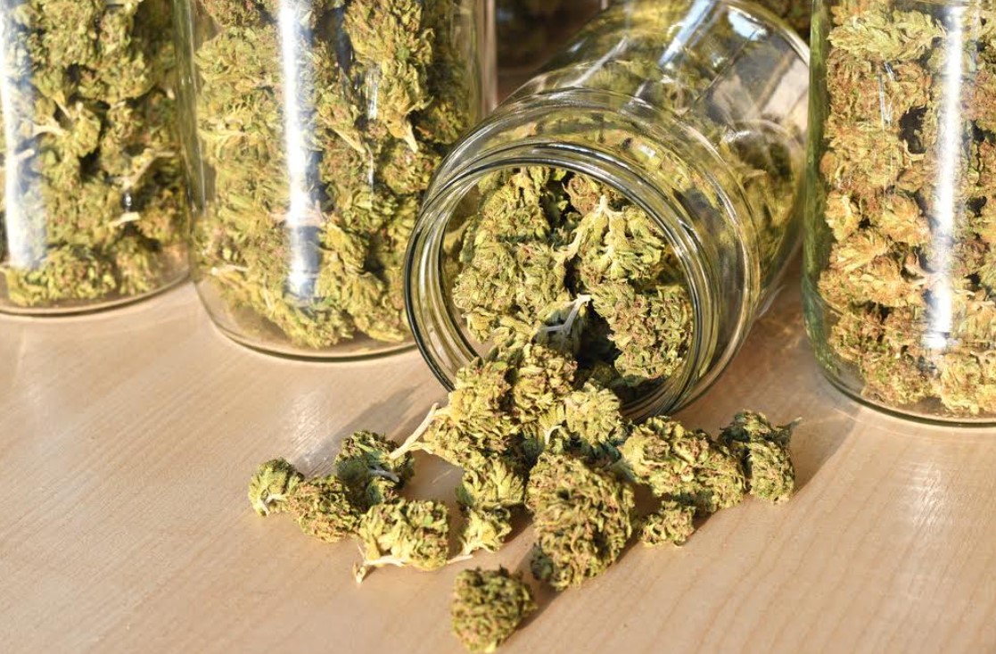 Study Data Raises Concerns Over Cannabis Use During Pregnancy Study Data Raises Concerns Over Cannabis Use During Pregnancy