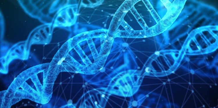 The increasing popularity of direct-to-consumer DNA testing