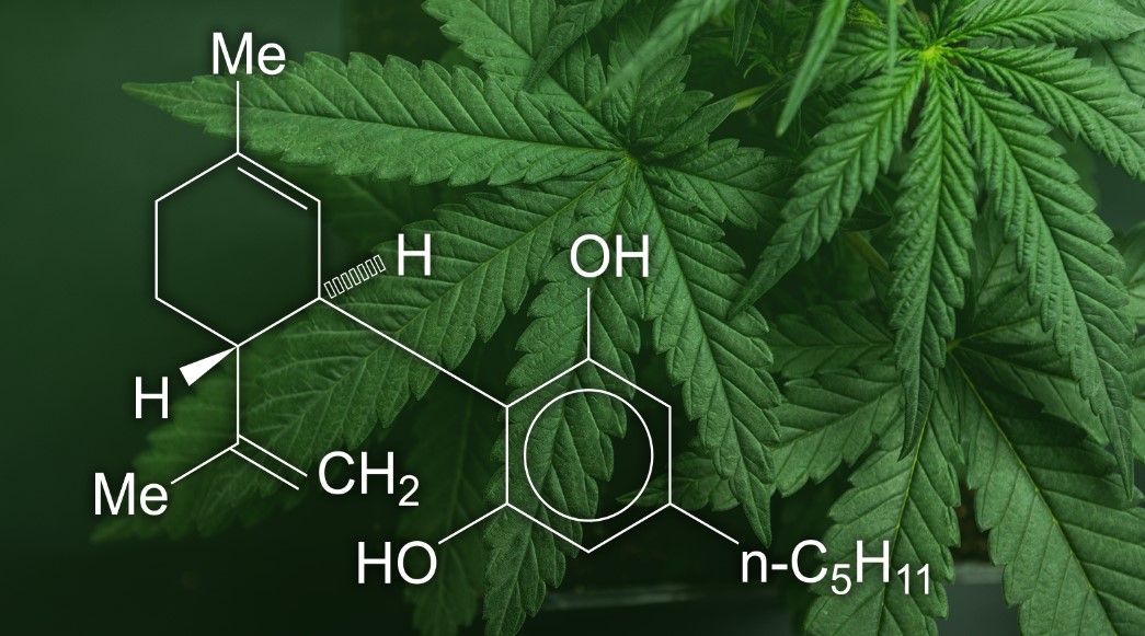 Contaminated Cannabis: Identification and Potential Dangers?